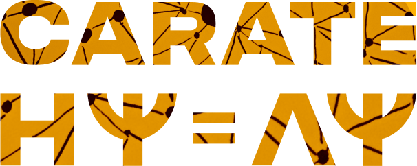 Logo of carate filling the Schrödinger Equation with a graph